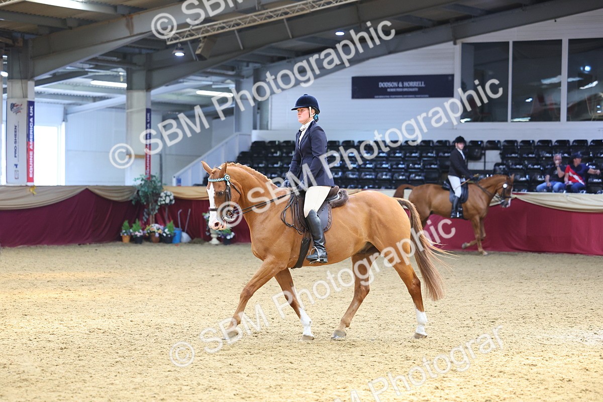SBM_24085 - Class 905 - Supreme Final - Ridden Veteran
