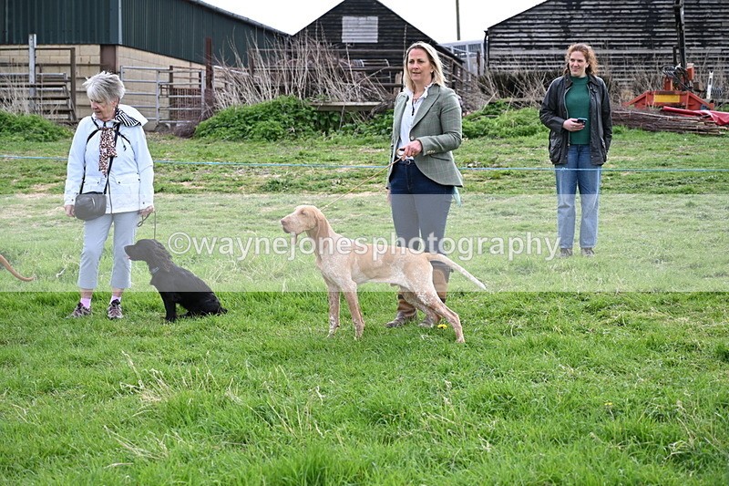 WJ6_8049 - Class 2 Best Pedigree