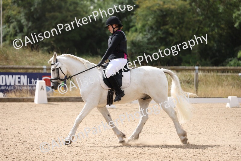 20250730-0275 - Class 2 - Intro 4