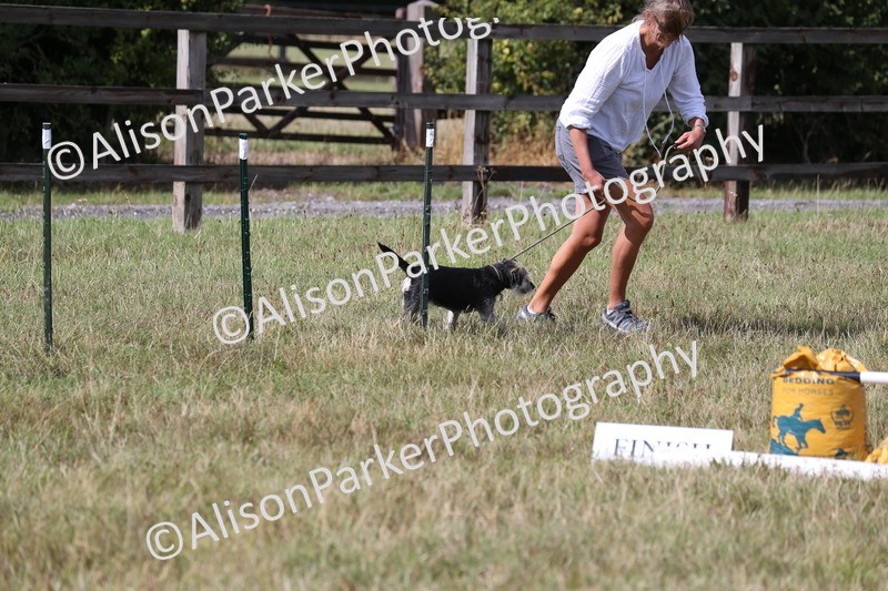 20260906-3408 - Class 34 - Dog Agility