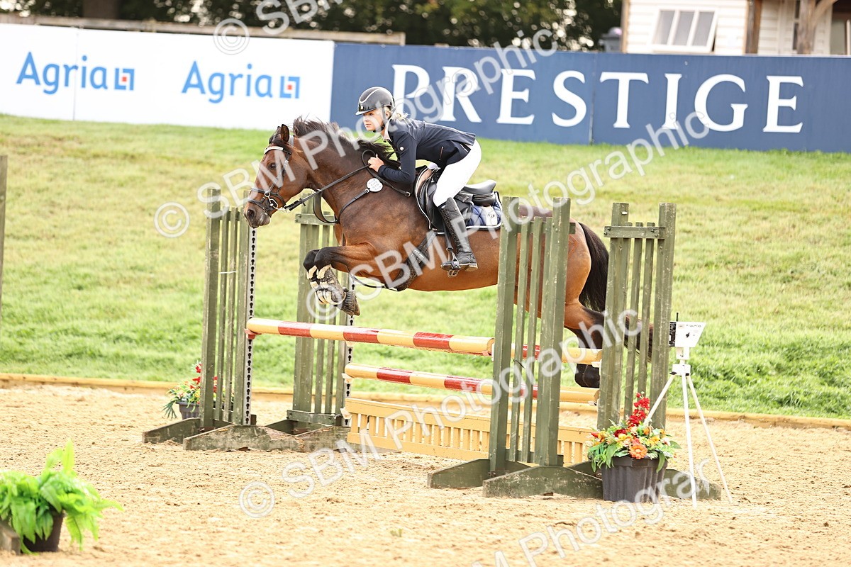 SBM_58424 - J41 - Grand Tour Horse & Pony 95cm