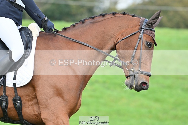 231020-104345-07690 - 641-SILVER.ROCK-Lucy.Boultbee-brooks-DR