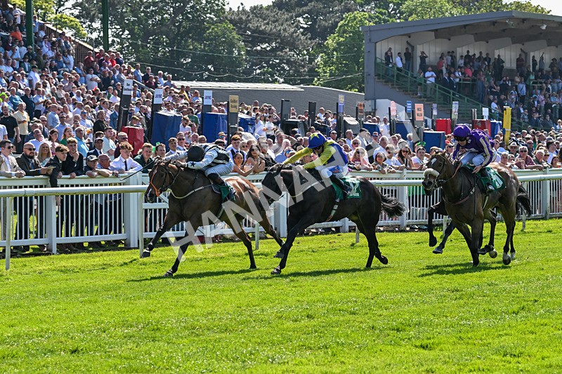 180524-Race 3-Burning Cash-9389 - Race 3