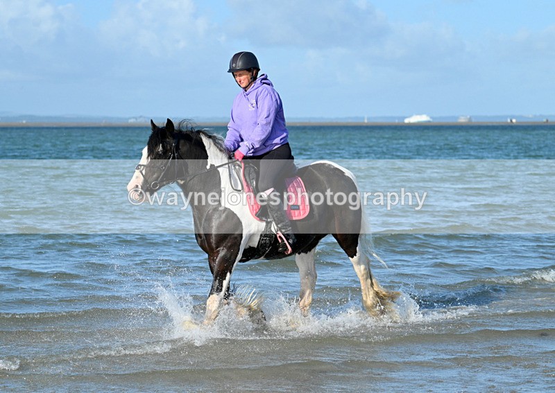 WJ7_2967 - Kellie & Churchill ... do Hayling Island 25-08-24