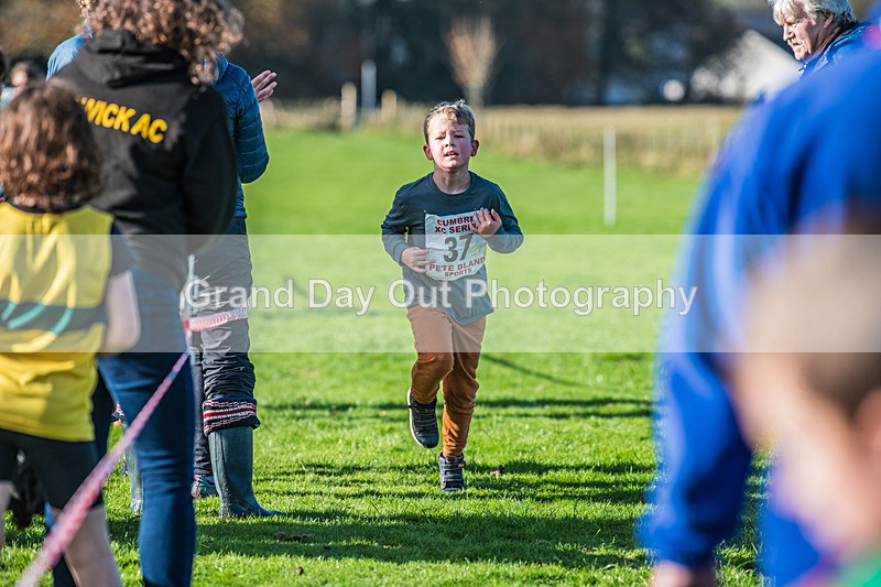 Cumbria XC-52 - Cumbria XC League Workington Saturday 26th October 2024