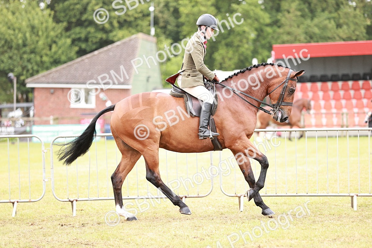 SBM_10762 - Class 81-84 - RIHS Ridden hunters Inc Ladies Hunter
