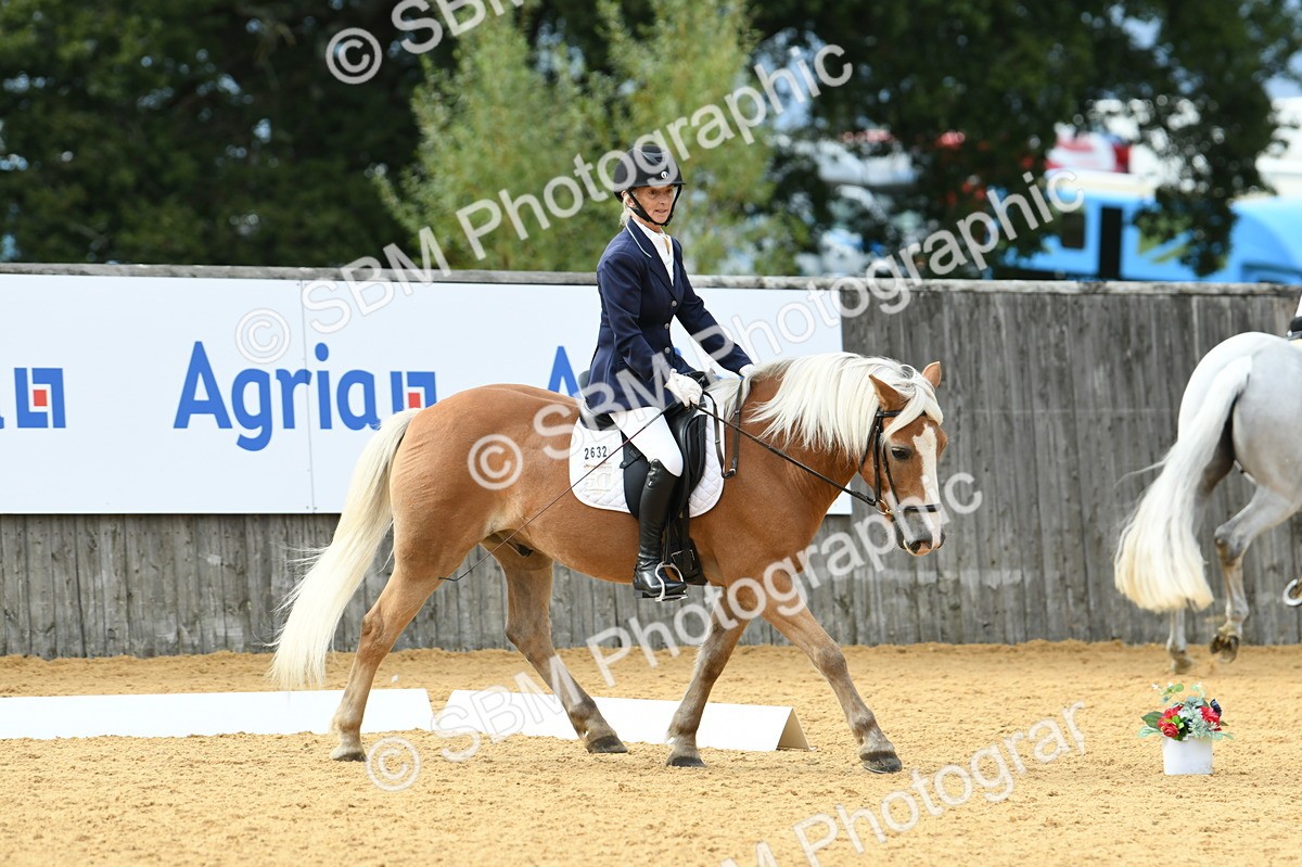 SBM_10901 - D28 Elementary Taster Elementary 42