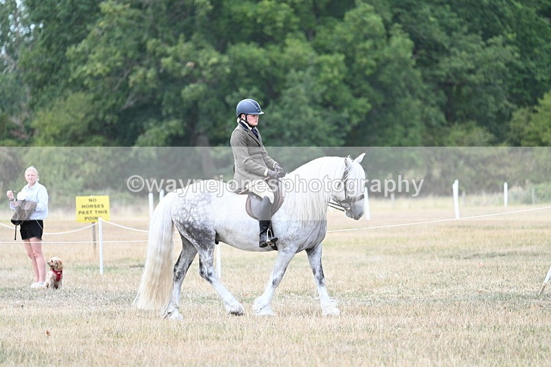 WJ7_4725 - Class 12 Ridden Cob