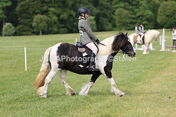 IMG_2401 - Working Hunter