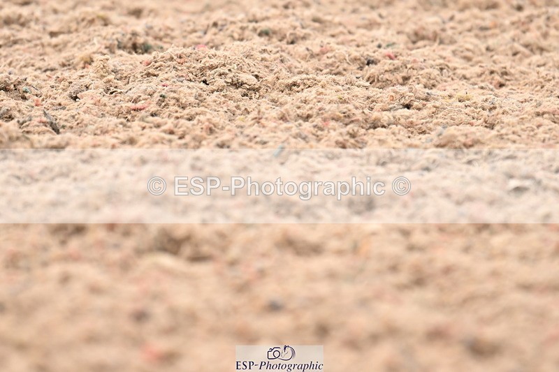 240621A-184121-06321 - Cls 17 BD FEI PSG