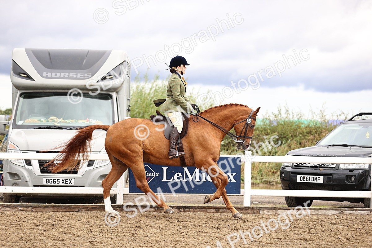 SBM_00565 - Class 53 - Ridden Competition Horse Pony