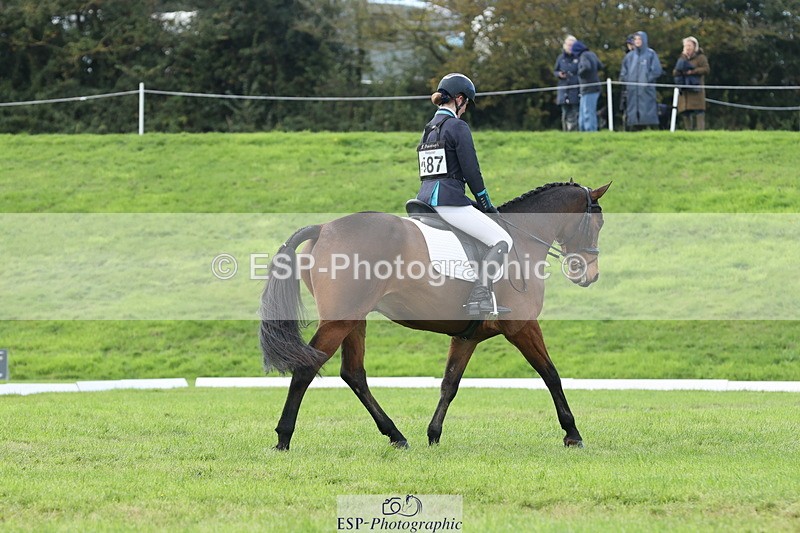 251024A-140928-12550 - F-487-Polly.McHardy