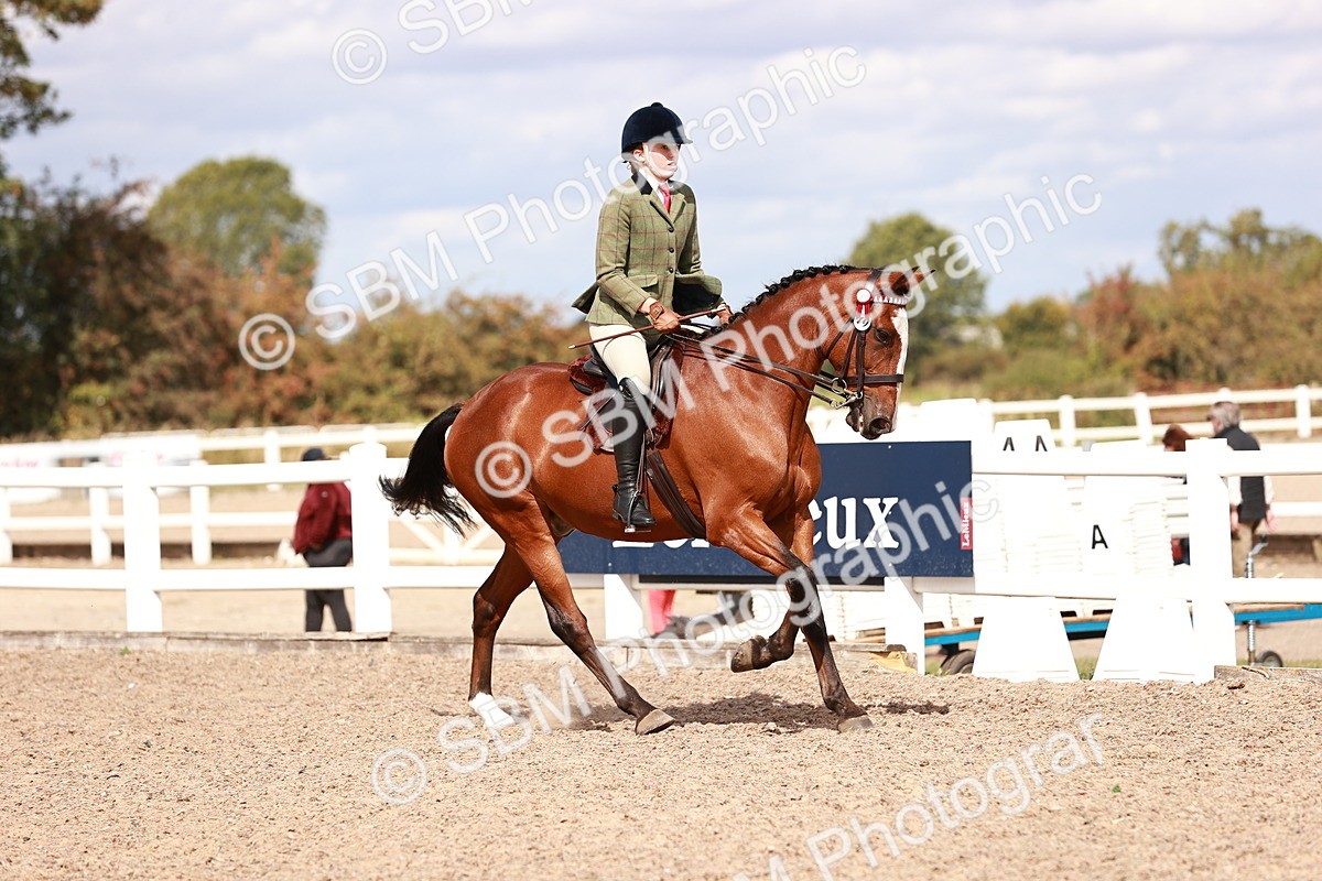 SBM_14434 - Class 410 - Grassroots Ridden - Horse