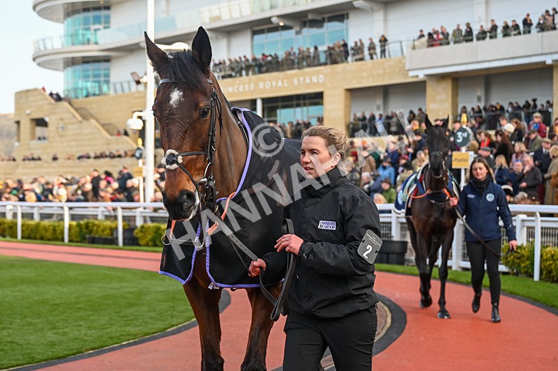 250125-Race 4-Stage Star-3391 - Race 4