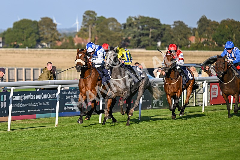 230925-Race 7-Hill O Rue-2446 - Race 7