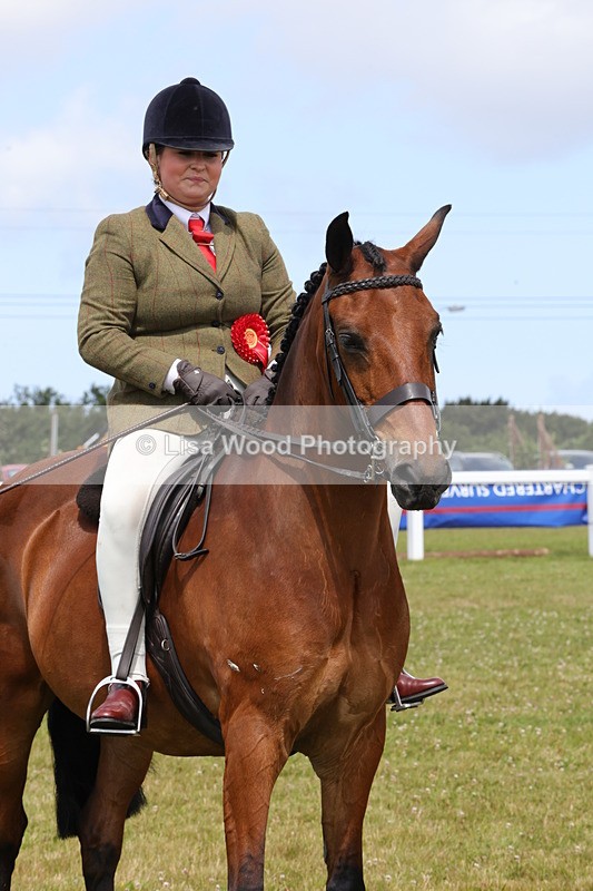 1X9A4113 - Class 32: Show Hunter Pony 153cm and under
