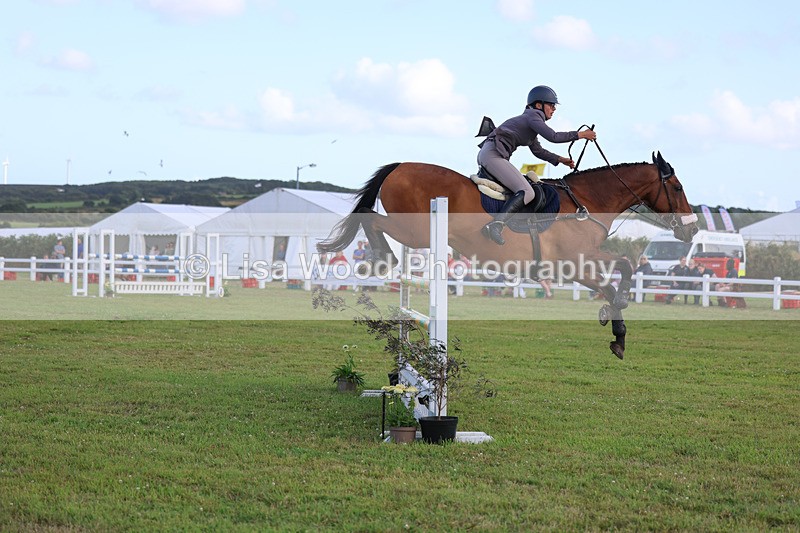 3E7A4726 - Class C1: Showjumping Senior Newcomers/1.10m open
