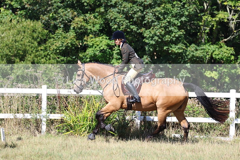 3E7A5834 - Class 5: Working Hunter 90cm
