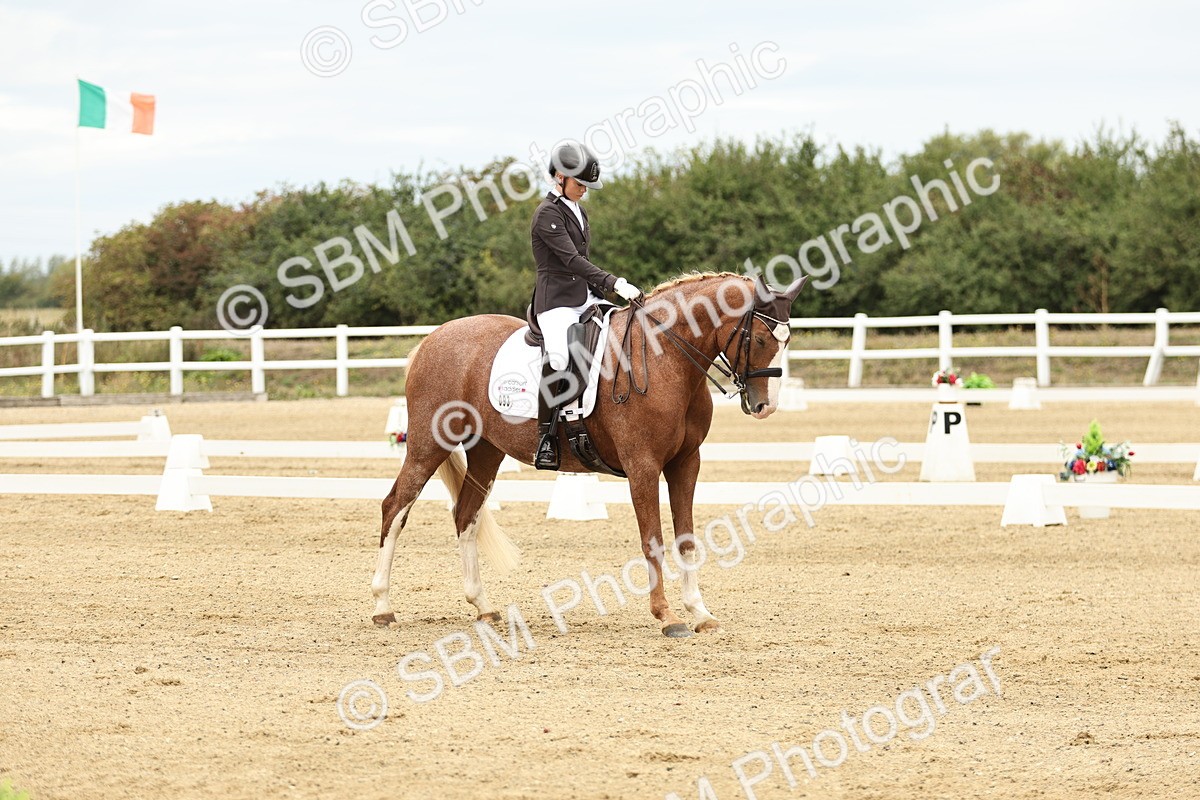 SBM_006529 - Class 21 - Medium 5 Bronze - 9.08-9.48