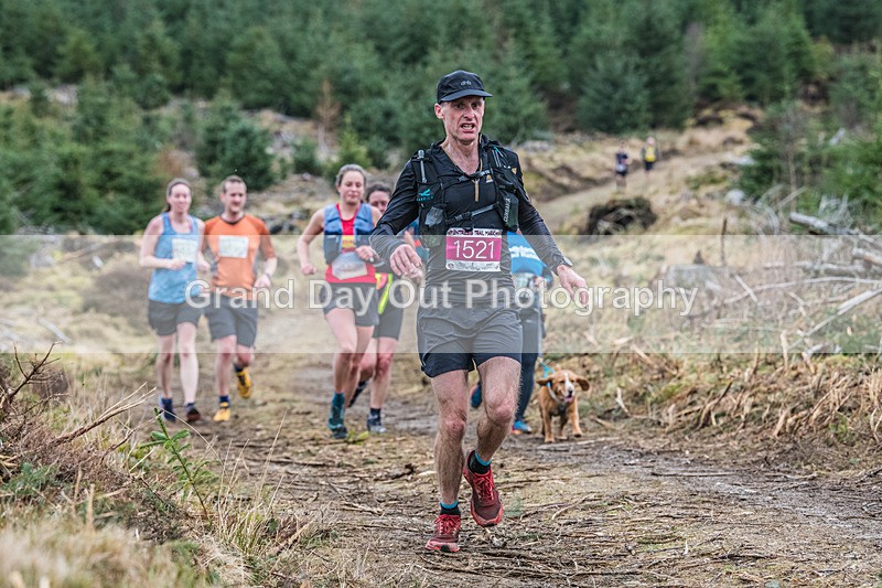 Glentress-1956 - High Terrain Events Glentress Marathon 21 & 10K Trail Races Sunday 18th February 2024