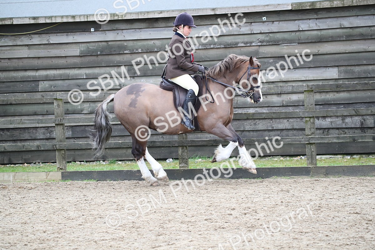 SBM_007069 - Class 10-13 - RIHS Small Large Breeds