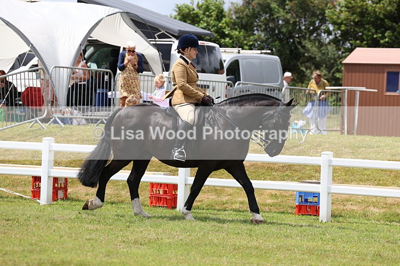 3E7A1813 - Class 10: Open Cob