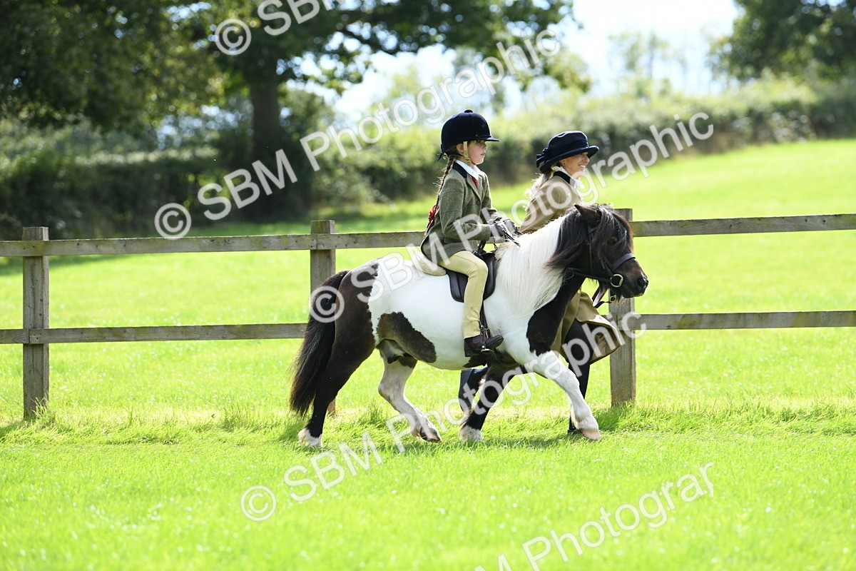 SBM_42517 - S20 - Lead Rein Mountain & Moorland Pony