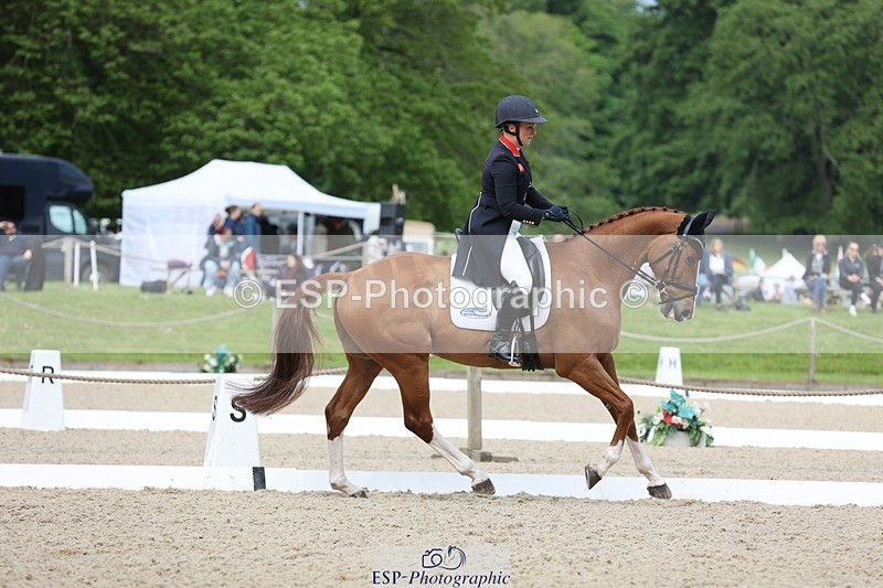 240524-103708-07458 - 263-CHILLI_MORNING_IV-Gemma_Stevens