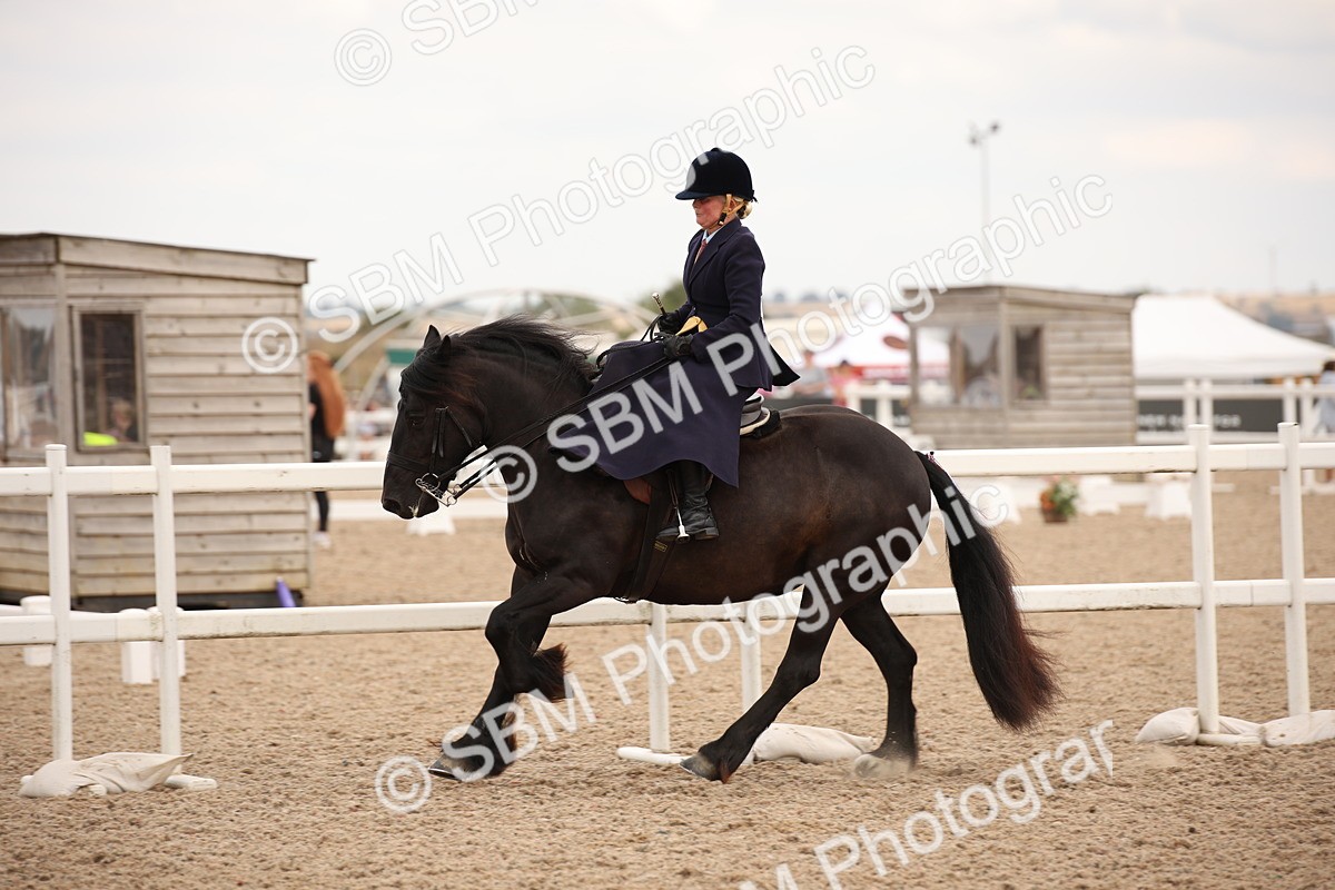 SBM_05366 - Class 22 SSA Equitation