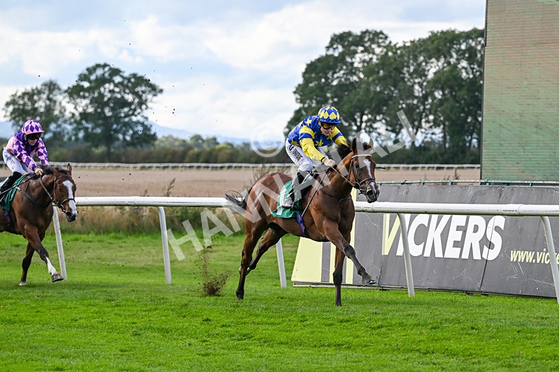 140926-Race 3-Majestic Jude-7063 - Race 3 3.21pm British Stallion Studs EBF Novice Stakes