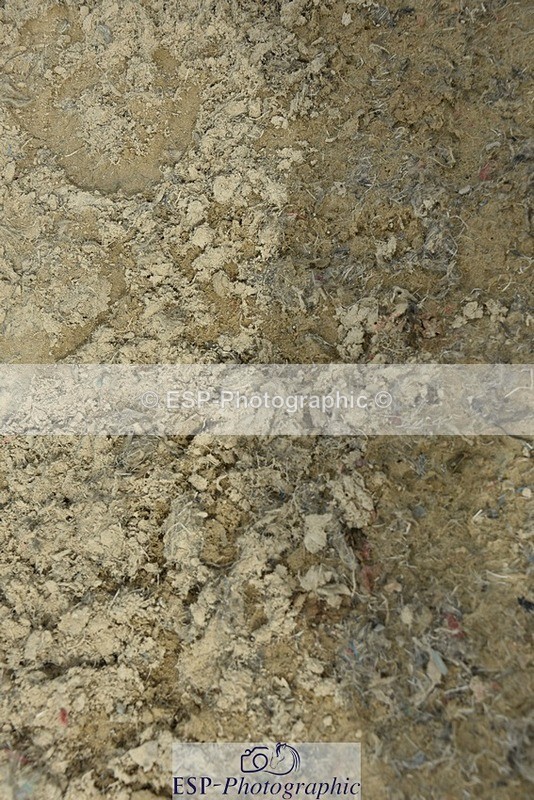 230812-160416-05372 - FEI PSG Bronze Presentations