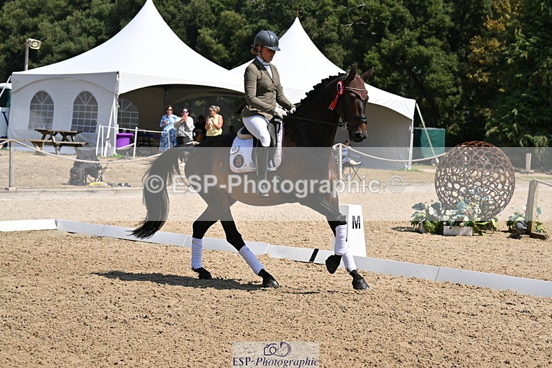 250810A-123428-06410 - Adv Medium GOLD Presentations