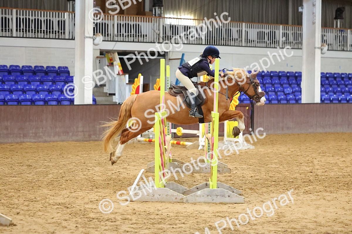 SBM_001801 - Class 5 - Show Jumping 80cm
