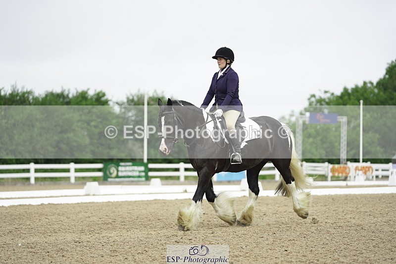 230708A-100104-00264 - Intro C