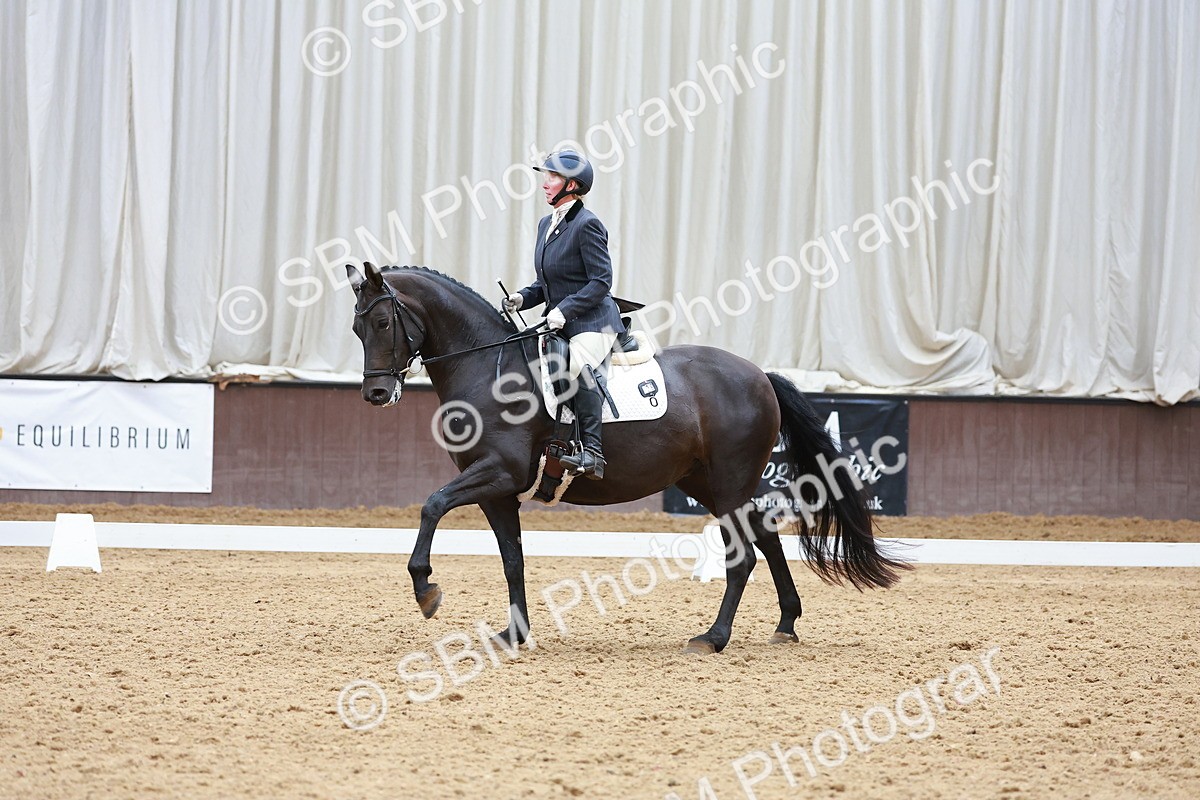 SBM_007635 - Class 4-5-6 - Prel 3-Novice 2-Ele 2