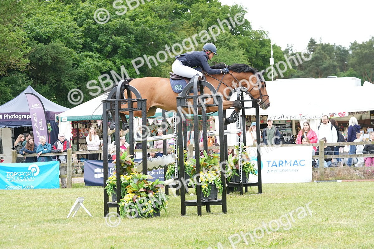 SBM_05113 - Class 201 - British Horse Feeds Speedi Beet Horse of the Year Show Grade  C