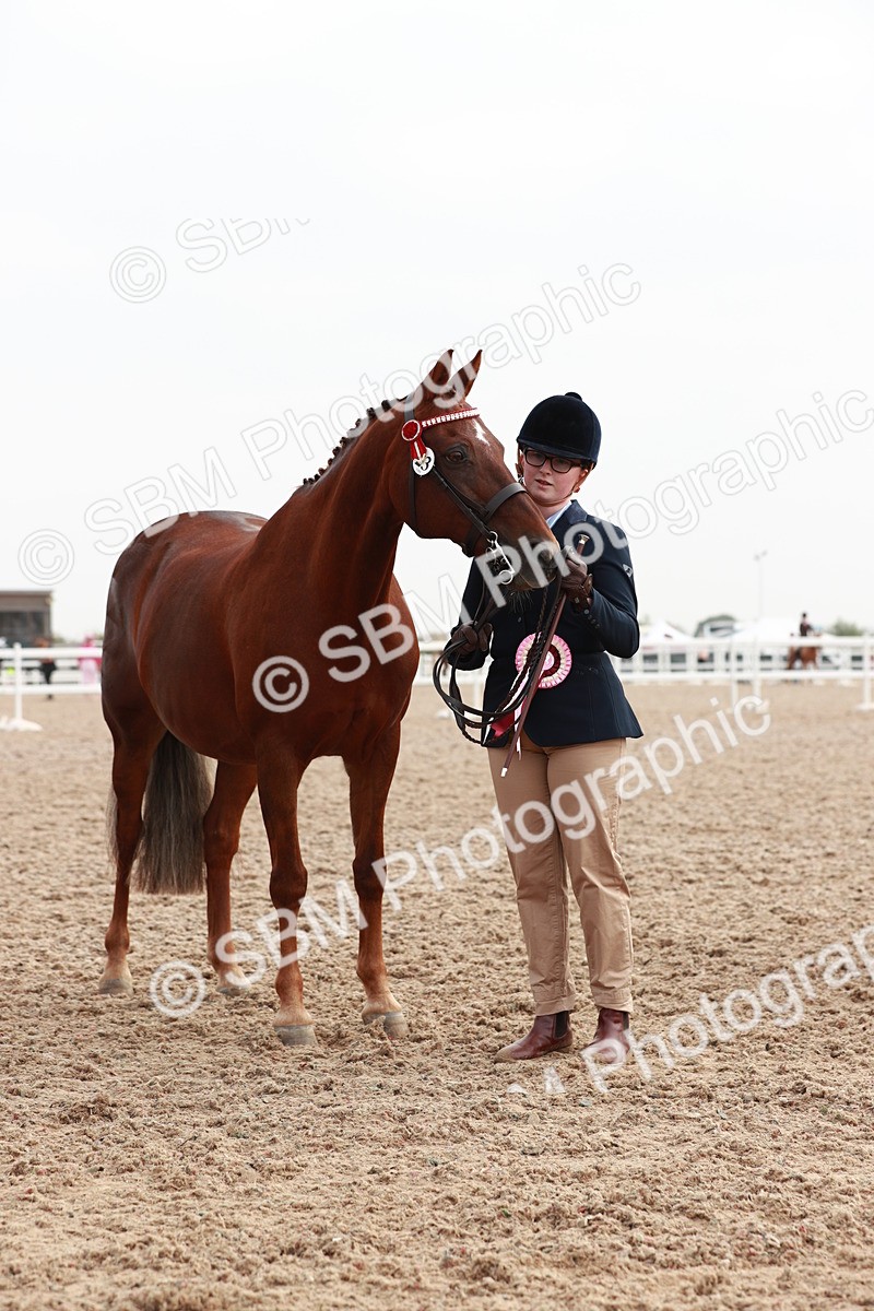 SBM_09580 - Class 201 Best Turned Out IH