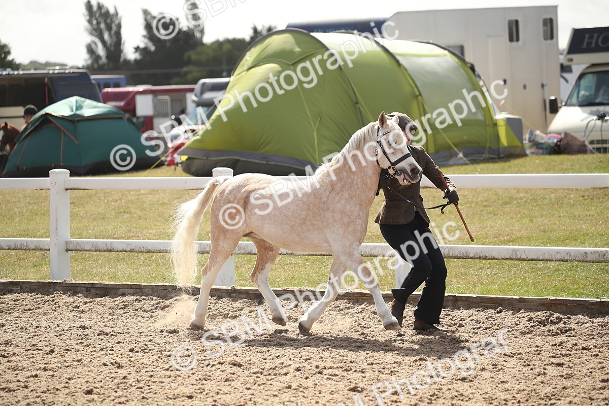 SBM_23384 - Class 604 - 2026 - Area IH Diamond