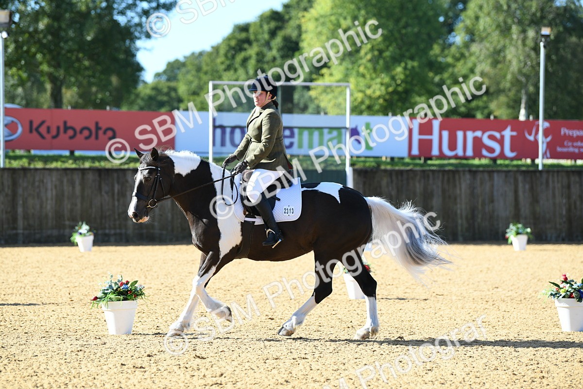 SBM_02744 - D7 Small Tour Championship Prelim 1