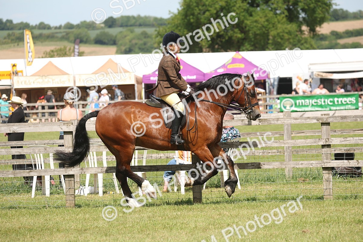 SBM_07682 - Class 26-30 - Mountain and Moorland Ridden