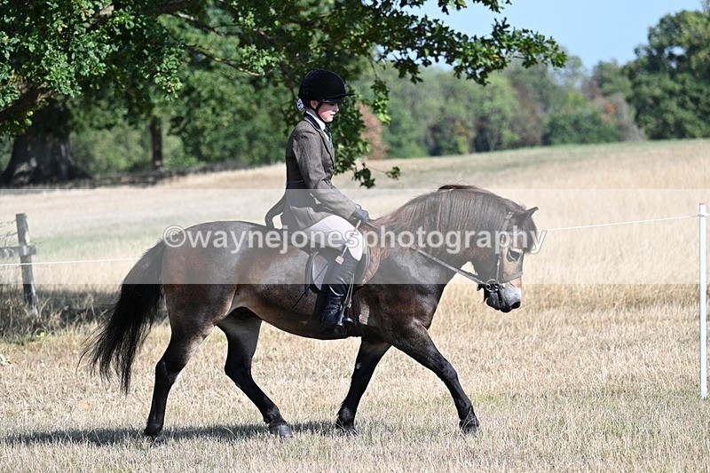 WJ7_2907 - Class 8 Ridden Tack & Turnout