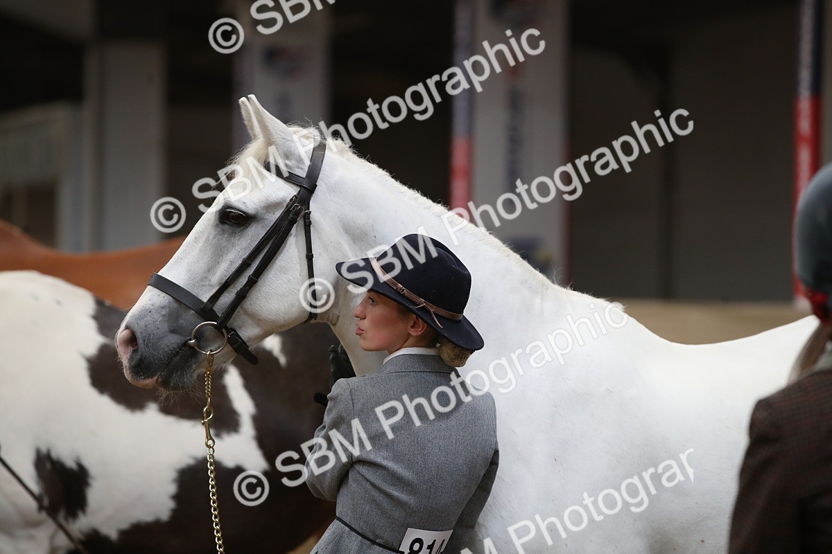 SBM_05677_Class9r - Regional - IH Pre Vet - Lily