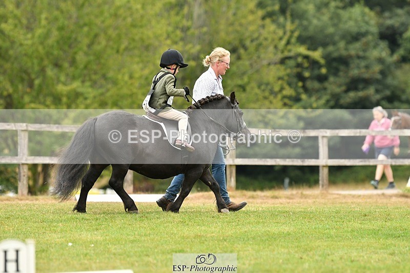 250820A-113450-05155 - 11am to 12