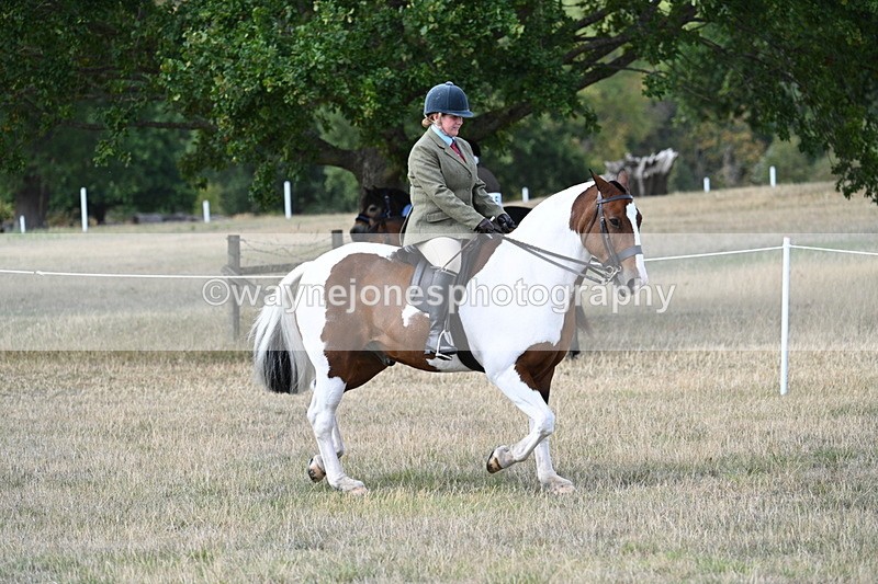 WJ7_6850 - Class 14 Ridden Coloured