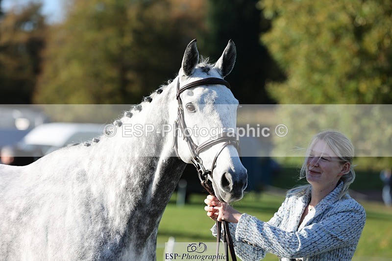 241027-092446-15274 - 306-Alice.Sandiford-THE.GREY.DANCER