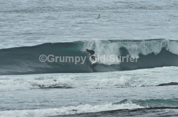 DSC_5344 - Brim Ness 15th August 2015