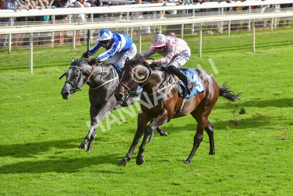 yr24092021r4-27 - Race 4 3.15pm William Hill Play Responsibly British EBF Restricted Novice Stakes