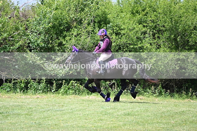 WJ6_3342 - Class 4 60cm