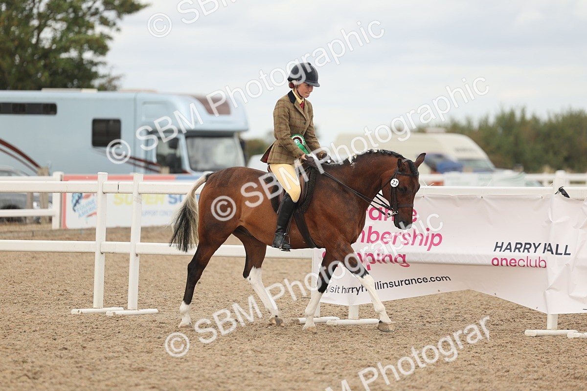 SBM_16092 - Class 311 - Ridden Show pony-Show hunter Pony