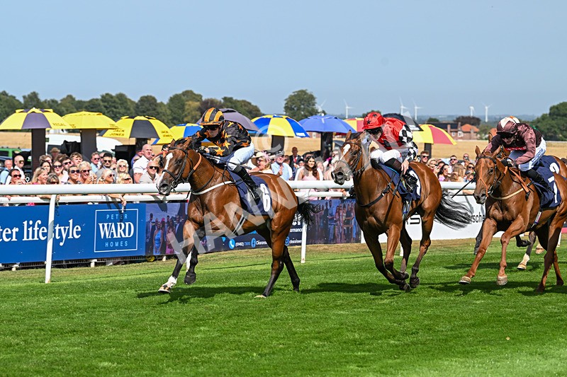 130825-Race 2-Brimfulofattitude-7145 - Race 2